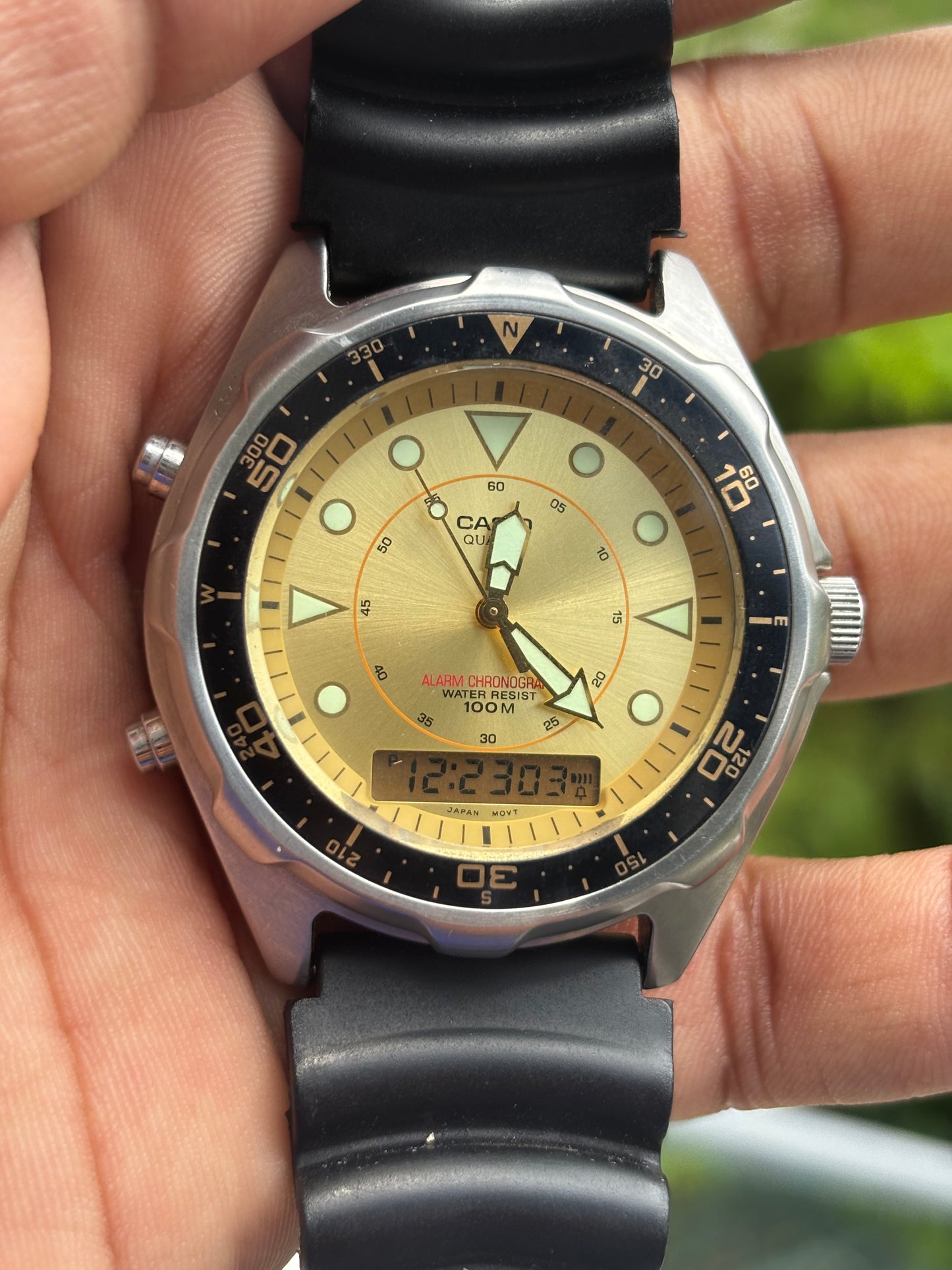 Casio Arnie Ana-Digi Diver Quartz 100M Water Resistant (AMW320D-9EV)