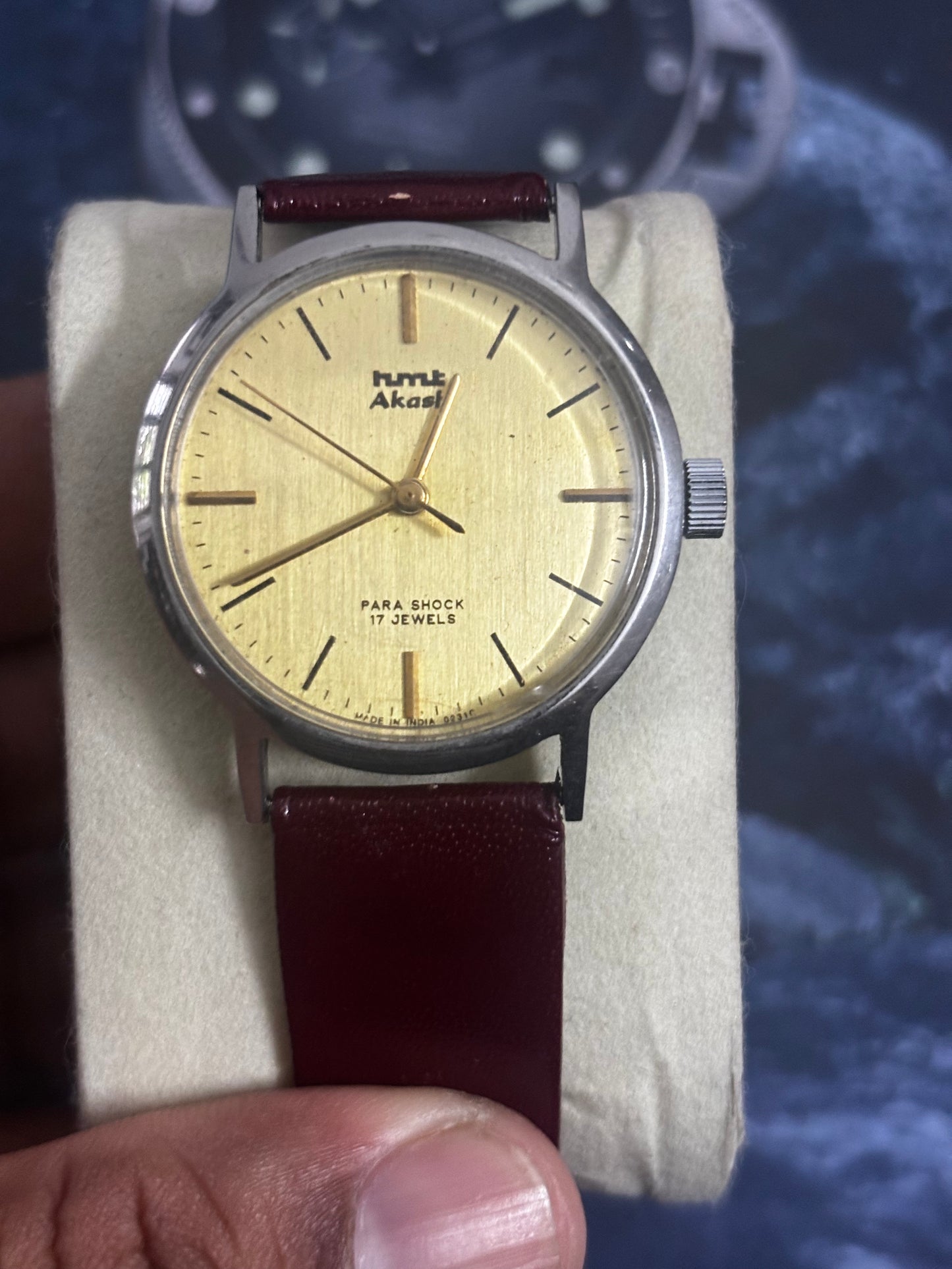 HMT Akash Hand-wound Vintage Watch with a Gold-toned Dial