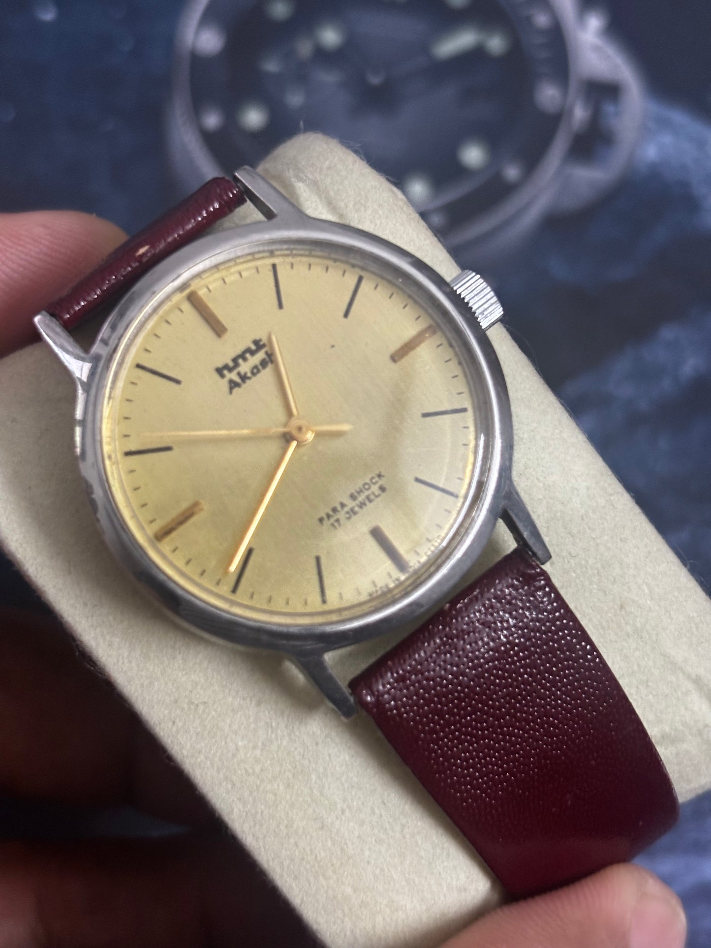 HMT Akash Hand-wound Vintage Watch with a Gold-toned Dial