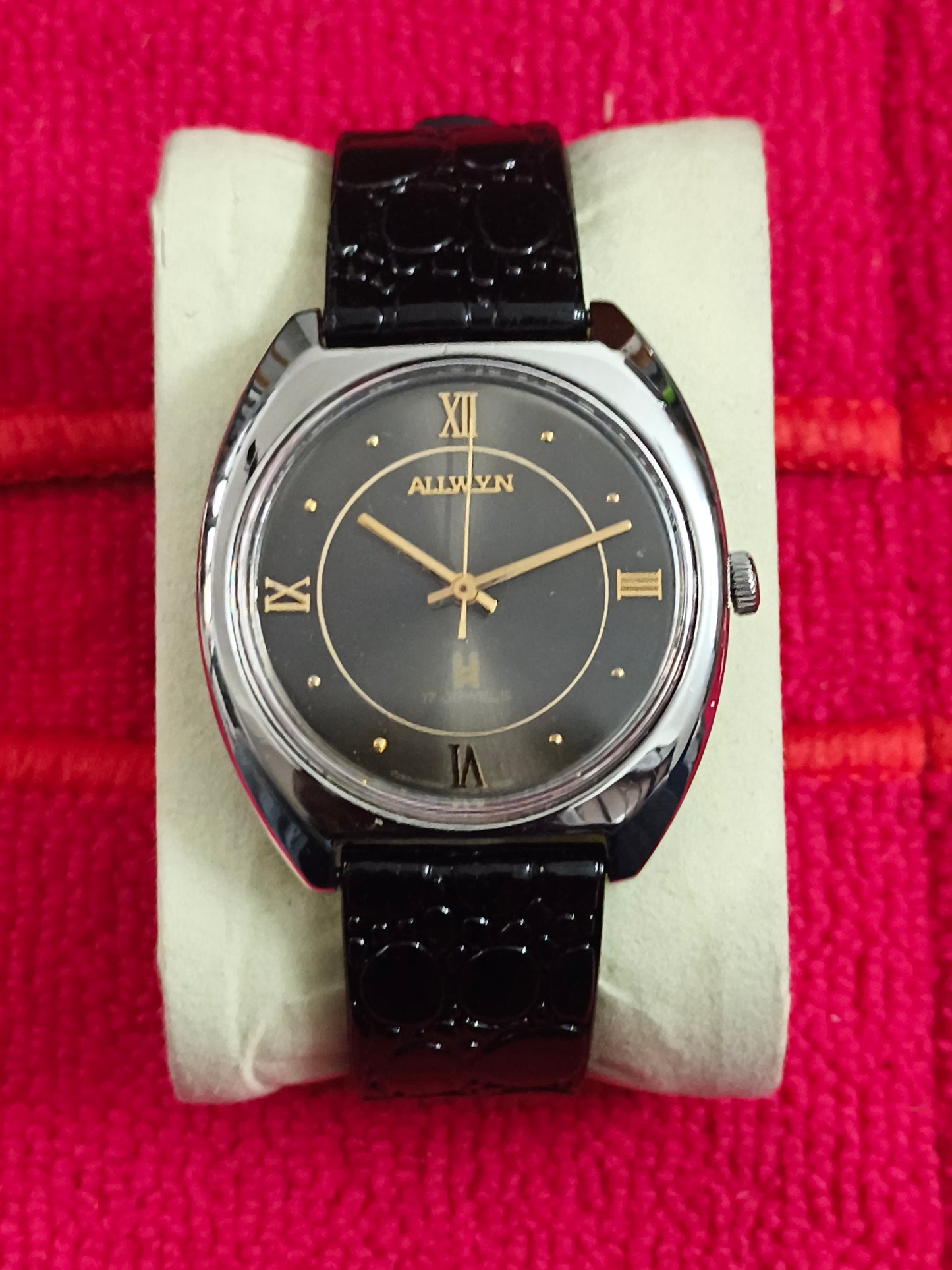 Allwyn Hand-wound Watch with Grey Sunburst Dial and Golden Details