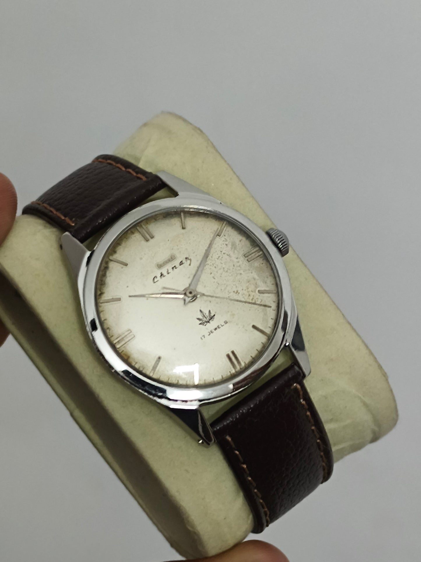 HMT Chinar Mechanical Vintage Watch with White Dial