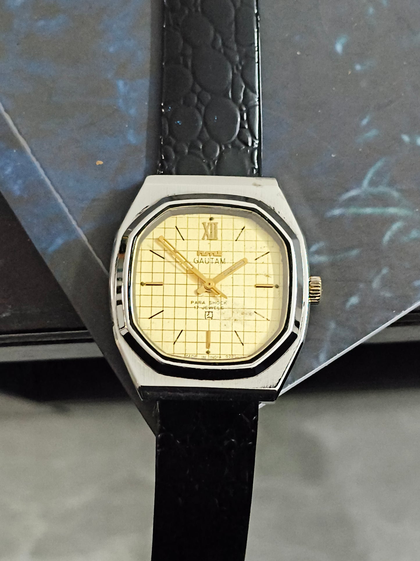 HMT Gautam Hand-wound Vintage Watch with a Gold-toned Graph Dial
