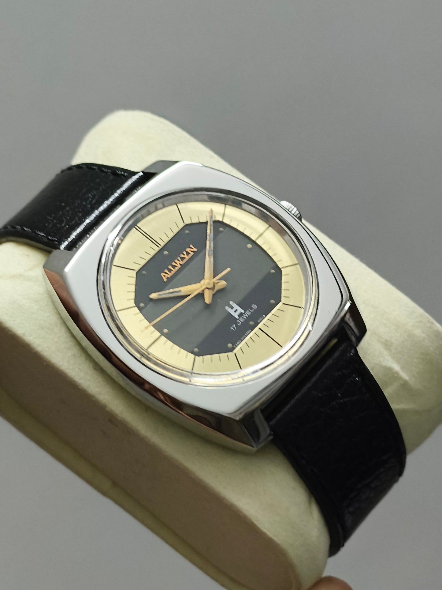 Allwyn Mechanical Watch with Multi Tone Dial