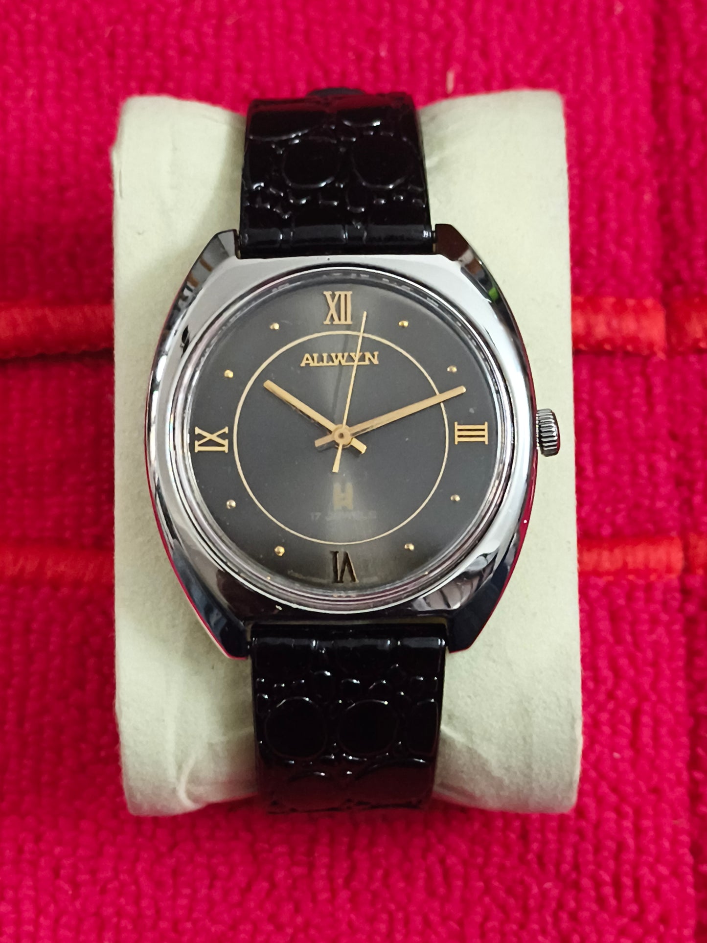 Allwyn Hand-wound Watch with Grey Sunburst Dial and Golden Details